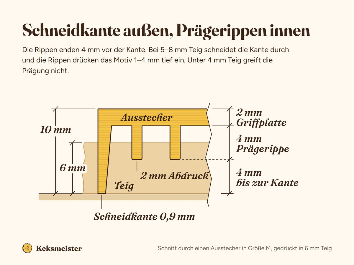 Schnitt durch einen Ausstecher mit Prägung in Größe M: Griffplatte 2 mm, Prägerippen 4 mm, sie enden 4 mm vor der Schneidkante; in 6 mm Teig entsteht ein 2 mm tiefer Abdruck